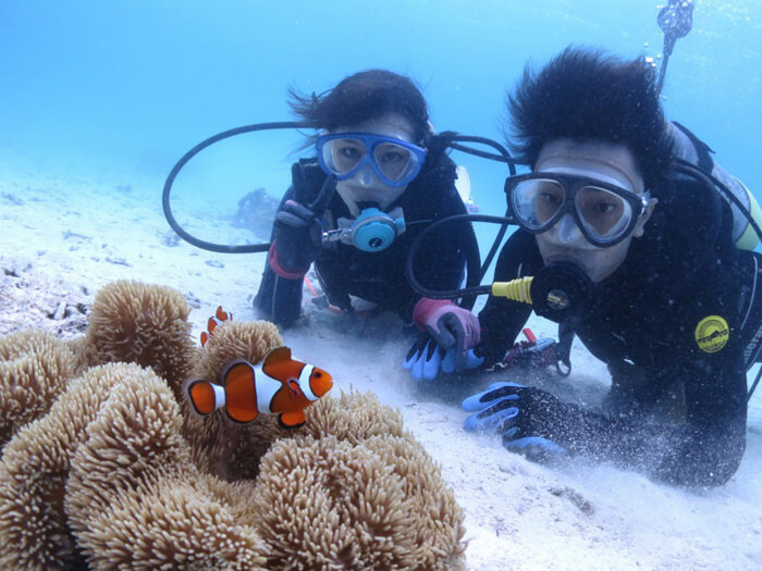ハネムーン新婚旅行など思い出になるダイビングのサポートもおまかせください。